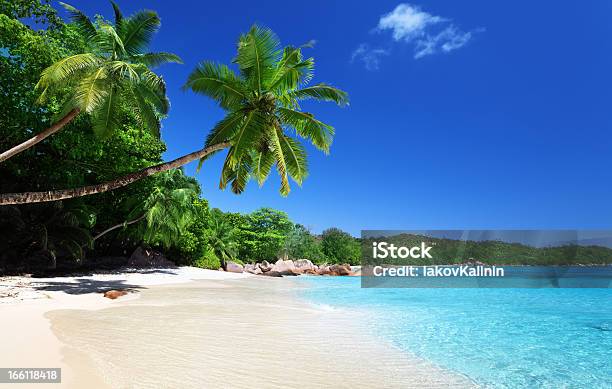 Anse Lazio Beach At Praslin Island Seychelles Stock Photo - Download Image Now - Bay of Water, Beach, Blue