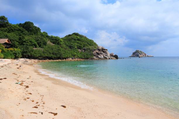 istock Thai beach in Ko Tao island 1661188201