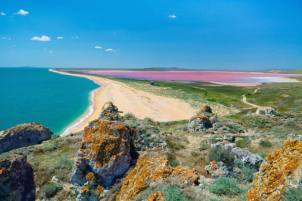 istock Sea coast and pink lake 166118949