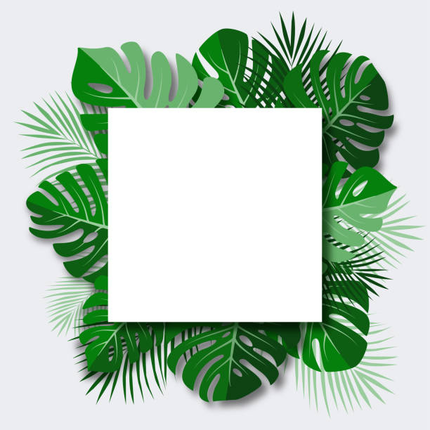 istock Frame with tropical leaves. Monstera deliciosa tropical leaves and palm leaves 1661189585