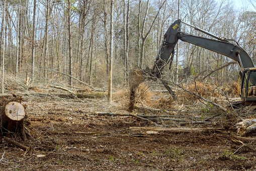 Using an excavator worker is clearing ground to build house.