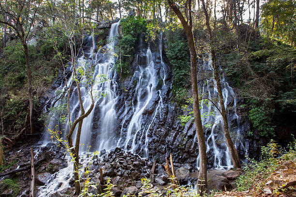 Rainforest waterfall stock photo