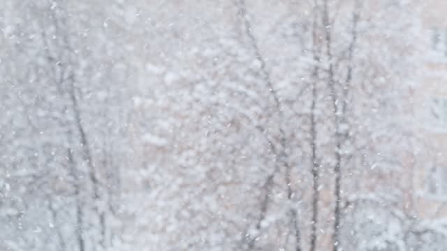 Snowfall Scene, blurred winter background. Snowflakes flying and spinning in the air. Blizzard outside the window.