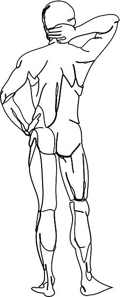 vektor-life-zeichnung des nackten mann auf der rückseite - men line art fragility vulnerability stock-grafiken, -clipart, -cartoons und -symbole