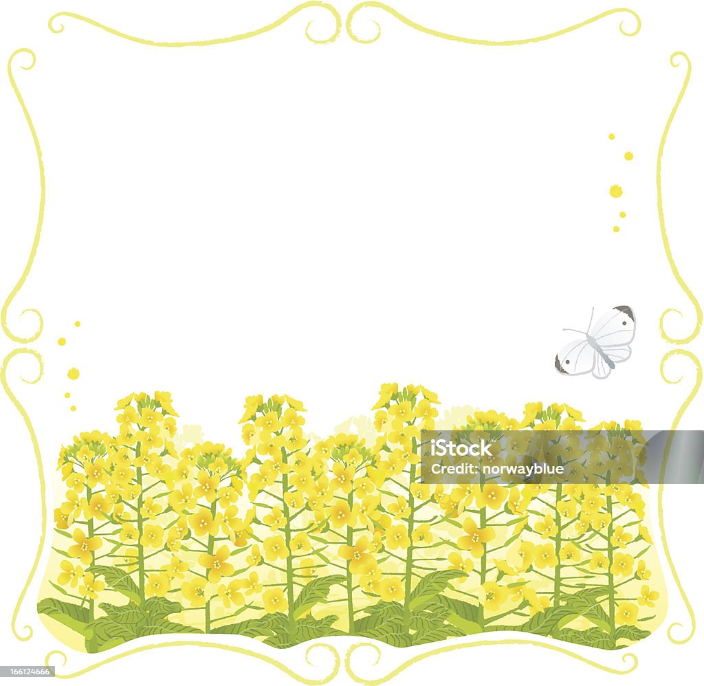 Gerahmte Canola Blumen mit Textfreiraum - Lizenzfrei Bildhintergrund Vektorgrafik