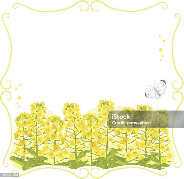 Gerahmte Canola Blumen Mit Textfreiraum Stock Vektor Art und mehr Bilder von Bildhintergrund - Bildhintergrund, Blume, Blühend