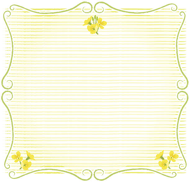 Stem shaped frame decoration with rape blossoms vector art illustration