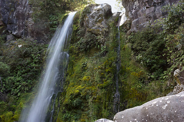 istock Dawson Falls in New Zealand 166124903