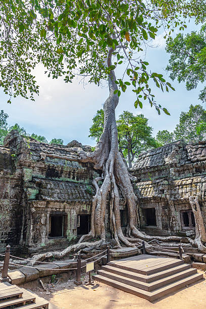 istock Ta Prohm temple in Cambodia 166125941