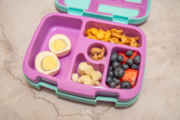 istock School lunch bento box with egg, fruit, cheese and crackers 1661264649