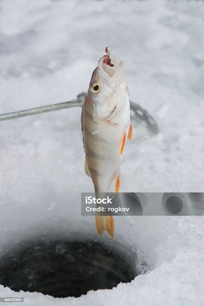 Pesca de Inverno - Royalty-free Ao Ar Livre Foto de stock