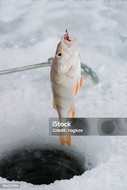 Pesca De Inverno - Fotografias de stock e mais imagens de Ao Ar Livre - Ao Ar Livre, Atividade Recreativa, Buraco