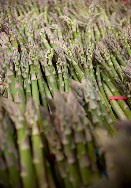 FRESH ASPARAGUS