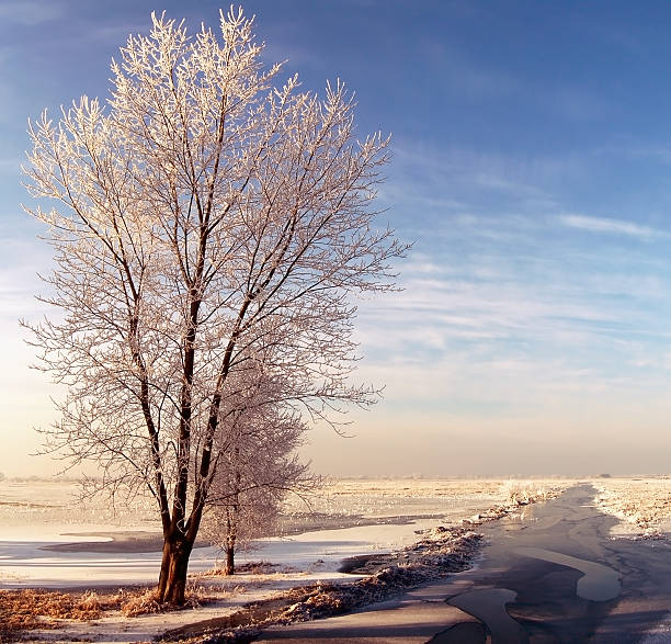 istock winter landscape at Havel River (Germany) 166127924