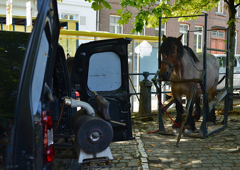 Leuven, Vlaams-Brabant, Belgium - September 4, 2023: Service vehicle installed with a system backside car of horseshoe attribute tools. Brabant Belgian farm horse is in harness to sharpen horseshoes