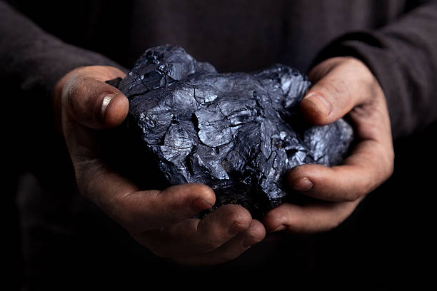 Hands holding a large piece of coal stock photo