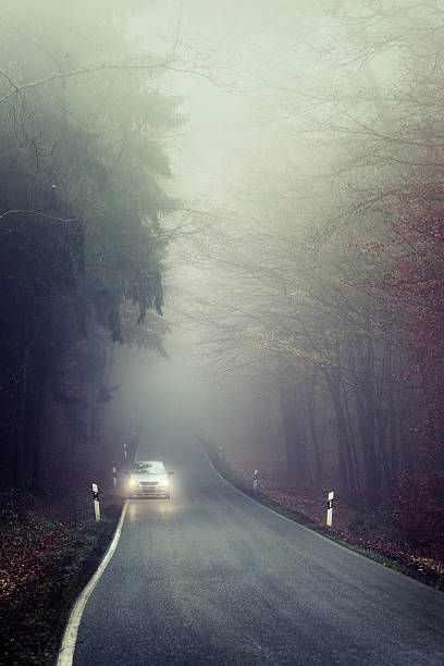 istock Dense fog on the forest road, oncoming traffic 166129278