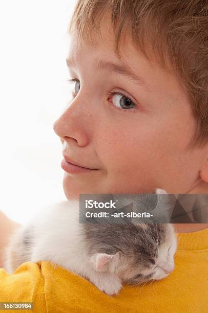 Мальчик И Kitten — стоковые фотографии и другие картинки 12-13 лет - 12-13 лет, Американская короткошёрстная кошка, Вертикальный
