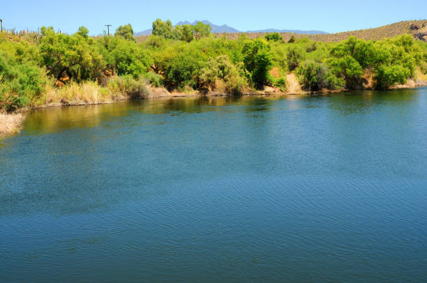 istock Salt River Recreation Area Arizona 1661310879