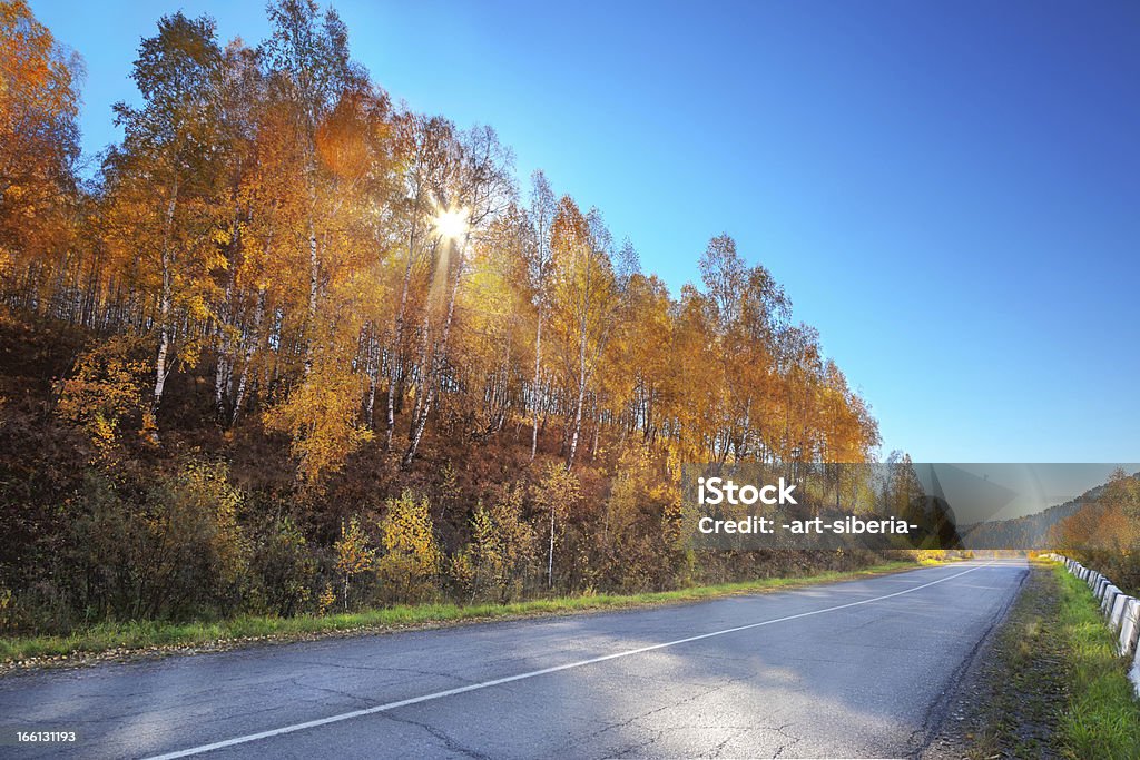 Den Herbst - Lizenzfrei Asphalt Stock-Foto