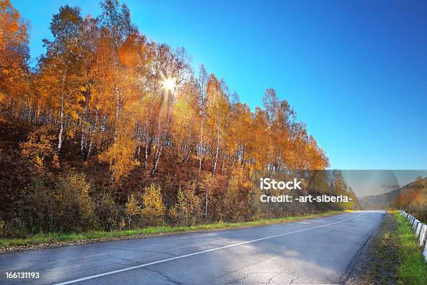 Den Herbst Stockfoto und mehr Bilder von Asphalt - Asphalt, Baum, Bildkomposition und Technik