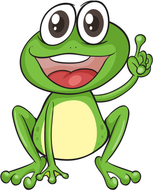 ilustrações de stock, clip art, desenhos animados e ícones de rã - white background close up frog amphibian