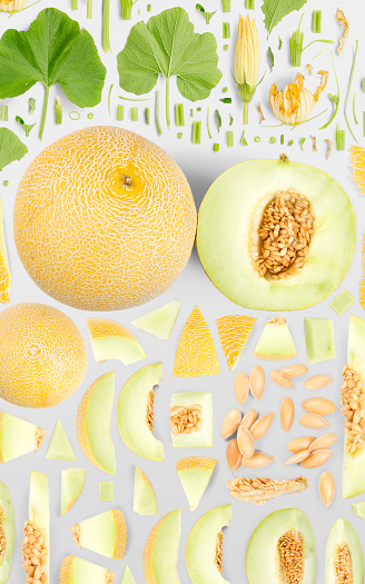 Abstract background made of Sugar Melon fruit pieces, slices and leaves isolated on gray background.