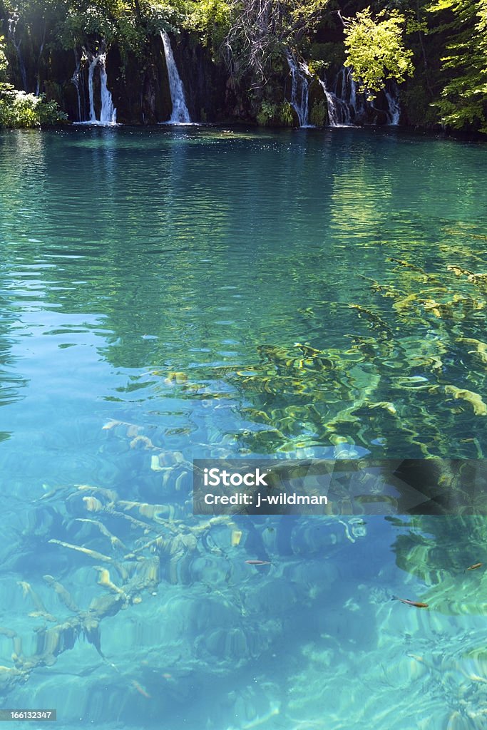 Parc National des lacs de Plitvice, Croatie) - Photo de Arbre libre de droits