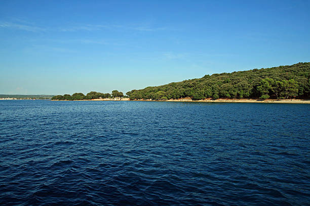 istock Brioni National Park 166134641