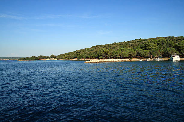 istock Brioni National Park 166134707
