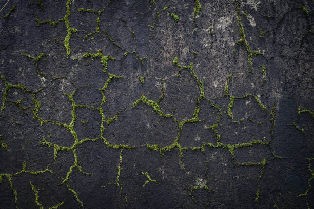 istock Black stone wall overgrown with moss 1661349439