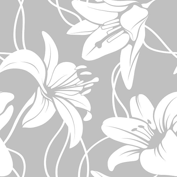 illustrazioni stock, clip art, cartoni animati e icone di tendenza di vettore seamless pattern di lilly - sweet magnolia magnolia flowers plants