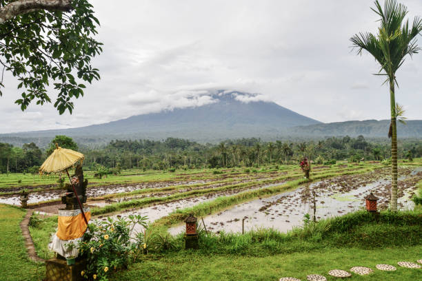 Landscape with rice fields and Agung volcano at cloudy day. Indonesia, Bali