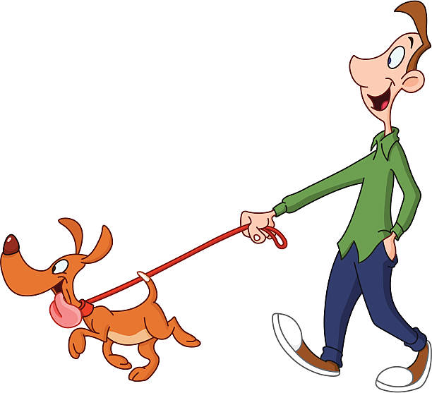 man walking dog - dog mixed breed dog puppy white background stock illustrations