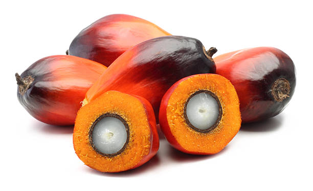Oil palm fruit cut in half on a white background A group of oil palm fruits on the white background oil palm fruit stock pictures, royalty-free photos & images