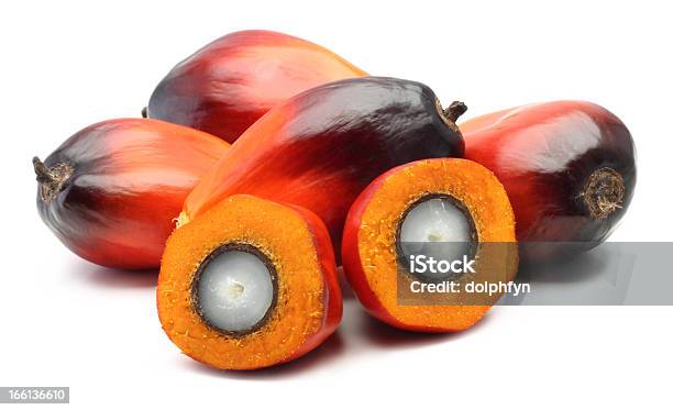 Oil Palm Fruit Cut In Half On A White Background Stock Photo - Download Image Now - Fruit, Oil Palm, Seed