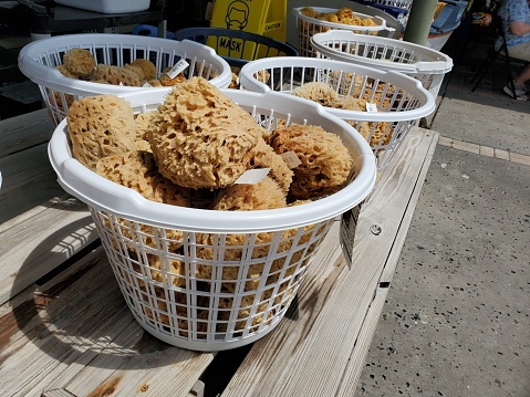 Baskets full of natural sea sponges are on retail display for sale in Tarpon Springs, Florida.