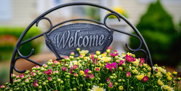 Chrysanthemum flower buds with a welcome sign on the blurred background at home garden, fresh vibrant fall or spring colors, homecoming season sign.