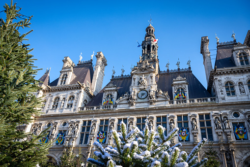 low angle view on snow capped christmas trees at square in front of the Paris town hall