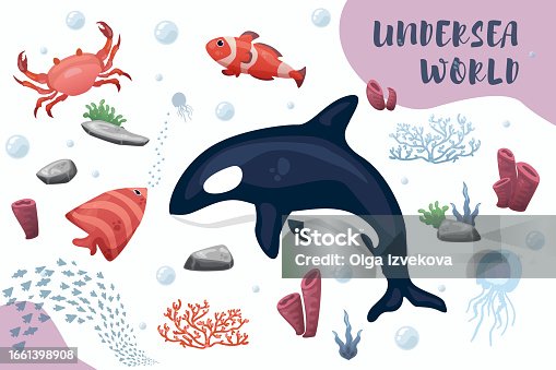 istock 20 Vector cartoon illustrations of sea creatures 1661398908