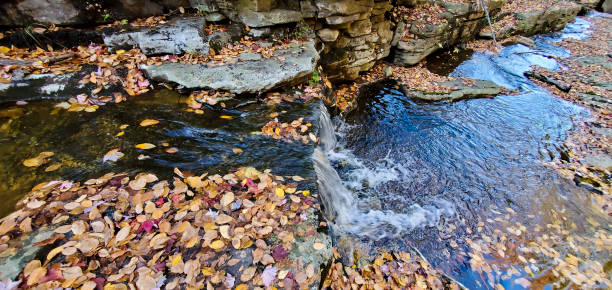 This is a photograph taken on a mobile phone outdoors of autumn leaves in a flowing stream of water in Minnewaska State Park in Ulster County New York.
