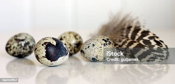 Spotted Huevos Y Manantial De Pluma Foto de stock y más banco de imágenes de Caza - Caza, Codorniz - Ave de caza, Alimento