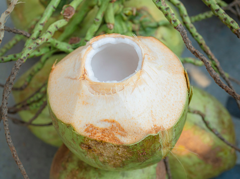 close-up of fresh coconut from the Asian harvest for making fruit juice in summer. favorite juice for the tropical beach.