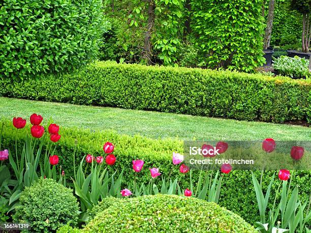 Maravilhosa Jardim Na Primavera - Fotografias de stock e mais imagens de Buxo - Buxo, Sebe, Jardim Particular