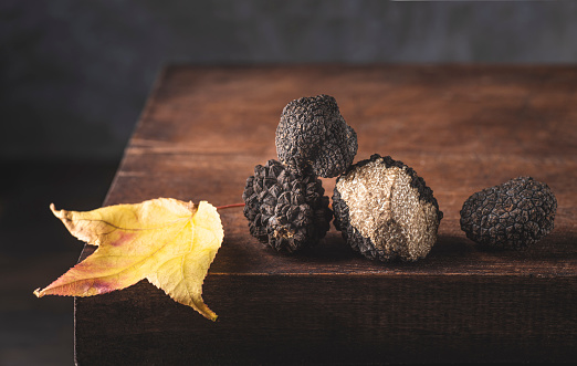 Black mushrooms truffles in antique wooden board with autumn leaves, rustic style, low key, selective focus, macro. Season of black truffle. Autumn gourmet cuisine of Piedmont, Italy, Spain and France