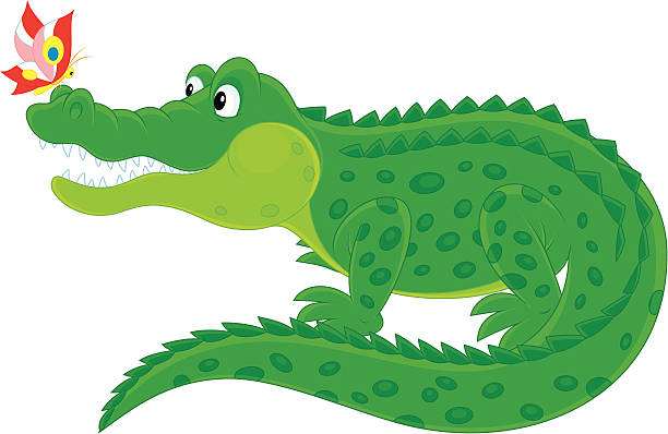 930 Cartoon Alligator Clipart Illustrations & Clip Art - iStock