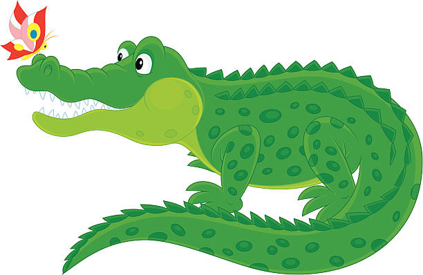 930 Cartoon Alligator Clipart Illustrations & Clip Art - iStock 930 Cartoon Alligator Clipart Illustrations & Clip Art - iStock