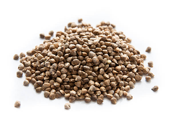 istock Pile of spinach seeds 166141604