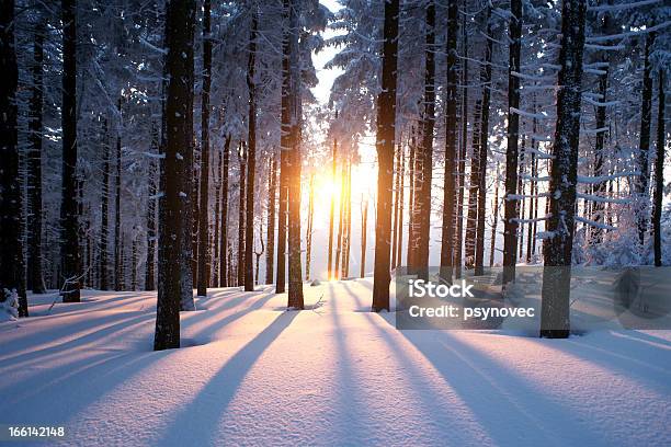 Sunset In Winter Period Stock Photo - Download Image Now - Forest, Winter, Snow