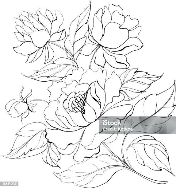 Ink Painting Of Peony Stock Illustration - Download Image Now - Backgrounds, Botany, Clip Art